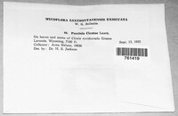 Image Associated With the Occurence